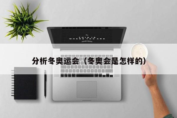 分析冬奥运会（冬奥会是怎样的）