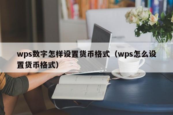 wps数字怎样设置货币格式（wps怎么设置货币格式）