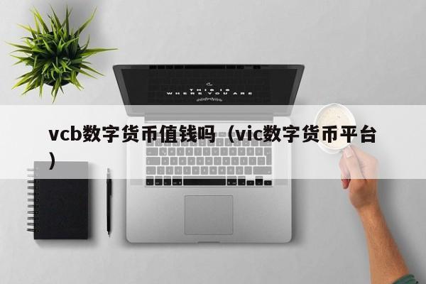 vcb数字货币值钱吗（vic数字货币平台）