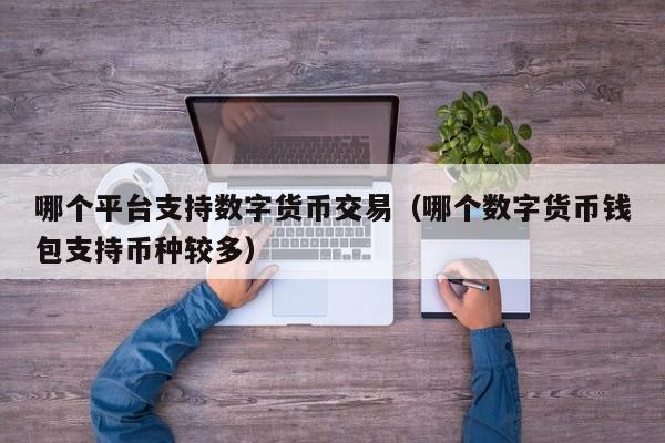 哪个平台支持数字货币交易（哪个数字货币钱包支持币种较多）