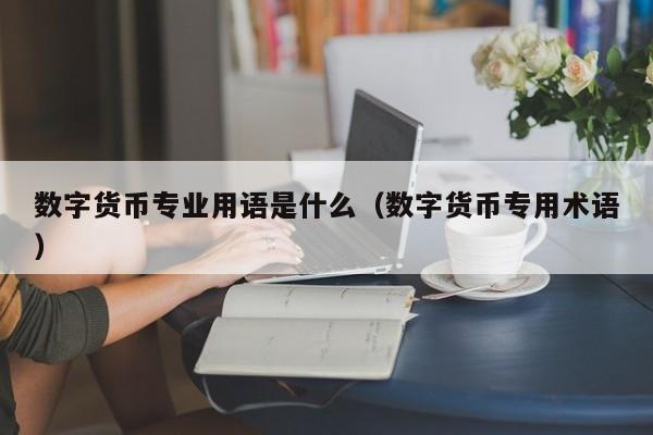 数字货币专业用语是什么（数字货币专用术语）